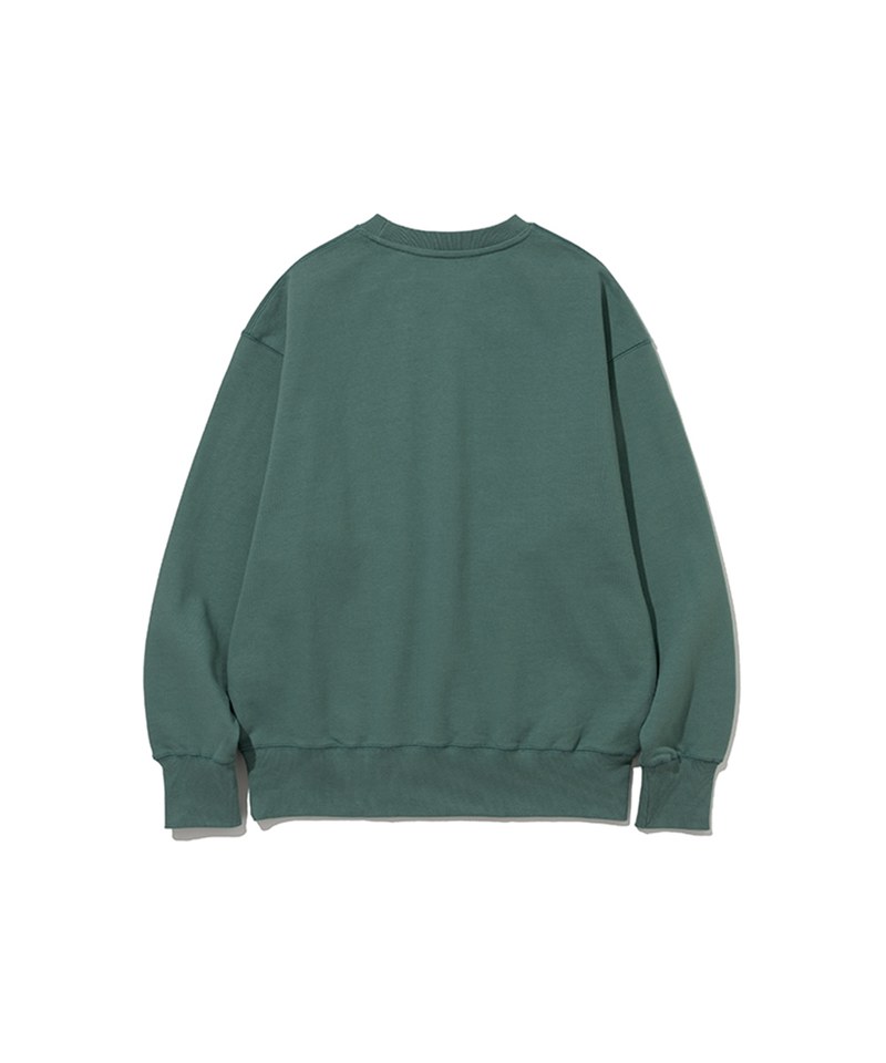野牛印花長袖衛衣 destroy buffalo sweatshirts